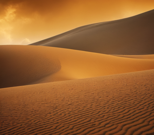 Golden Desert Dunes Photography Print – Warm Sunset Landscape, Fine Art Sand Patterns, Minimalist Nature Wall Decor